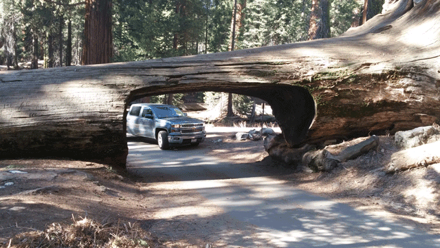 tunnel-log